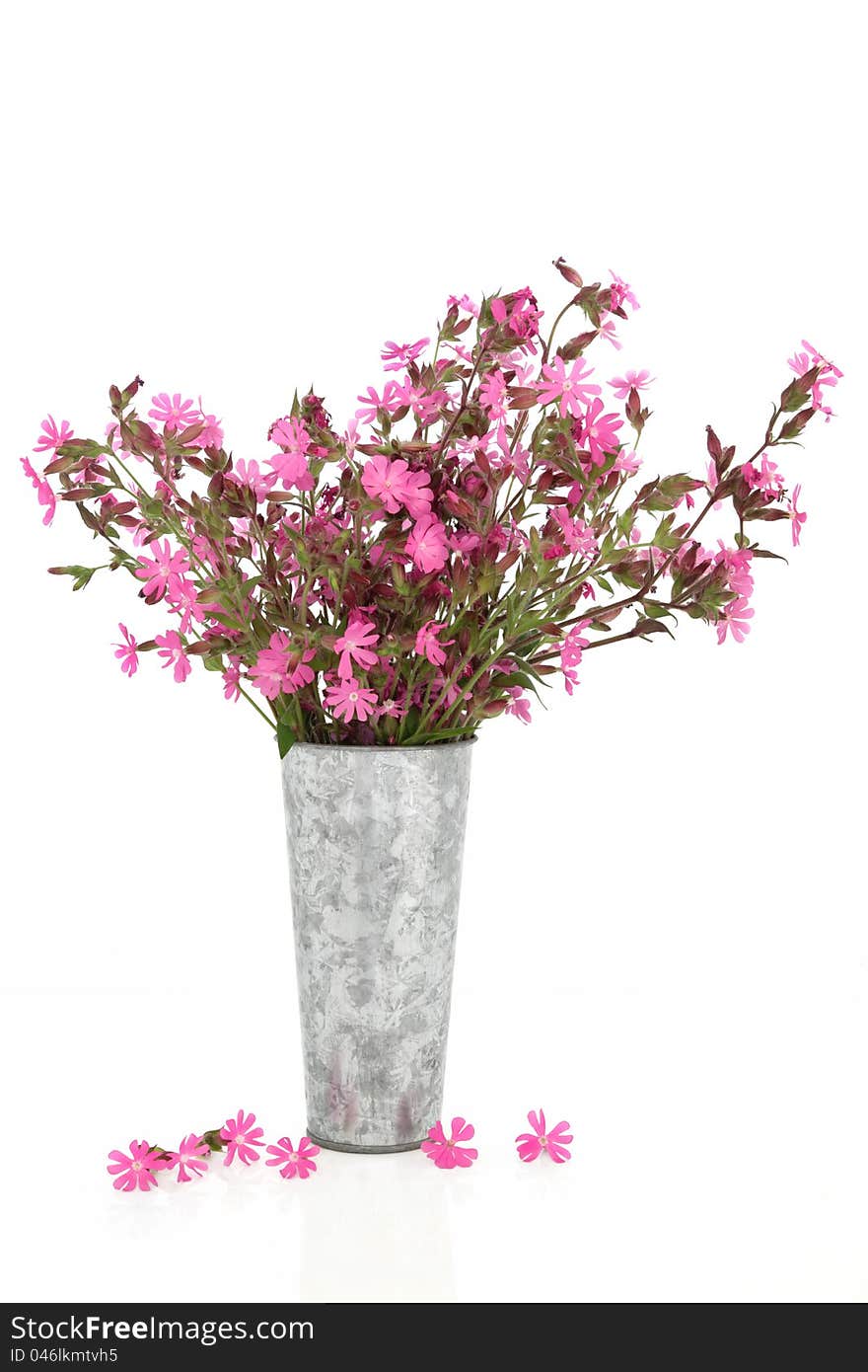 Red campion wildflower arrangement in a distressed alluminum vase with loose flowers, isolated over white background. Silene dioica. Also known as rose campion. Red campion wildflower arrangement in a distressed alluminum vase with loose flowers, isolated over white background. Silene dioica. Also known as rose campion.