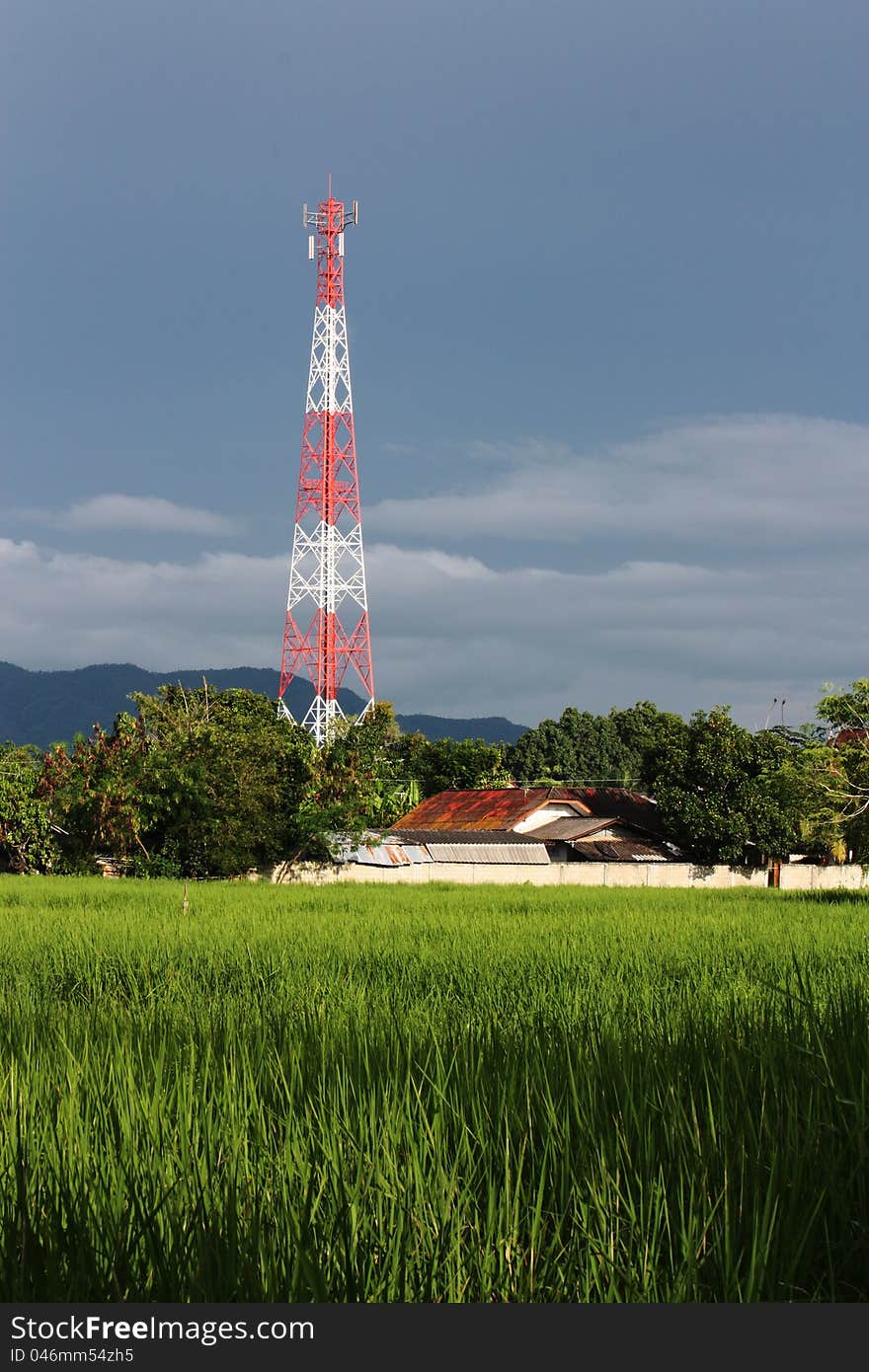 A telecommunication tower in rice field