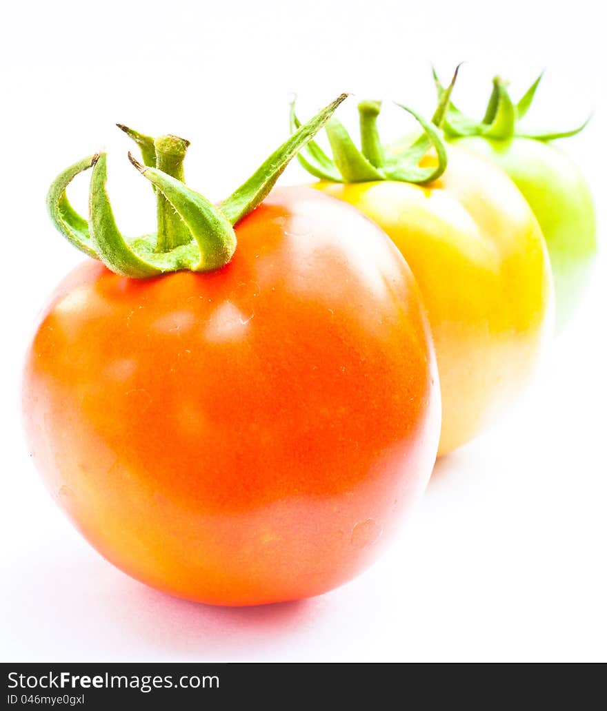 Fresh Tomato