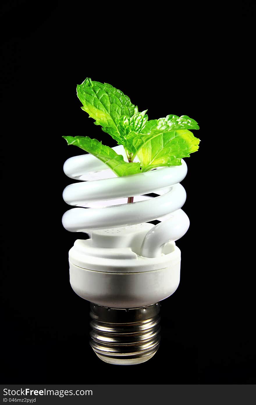 Energy saving eco lamp