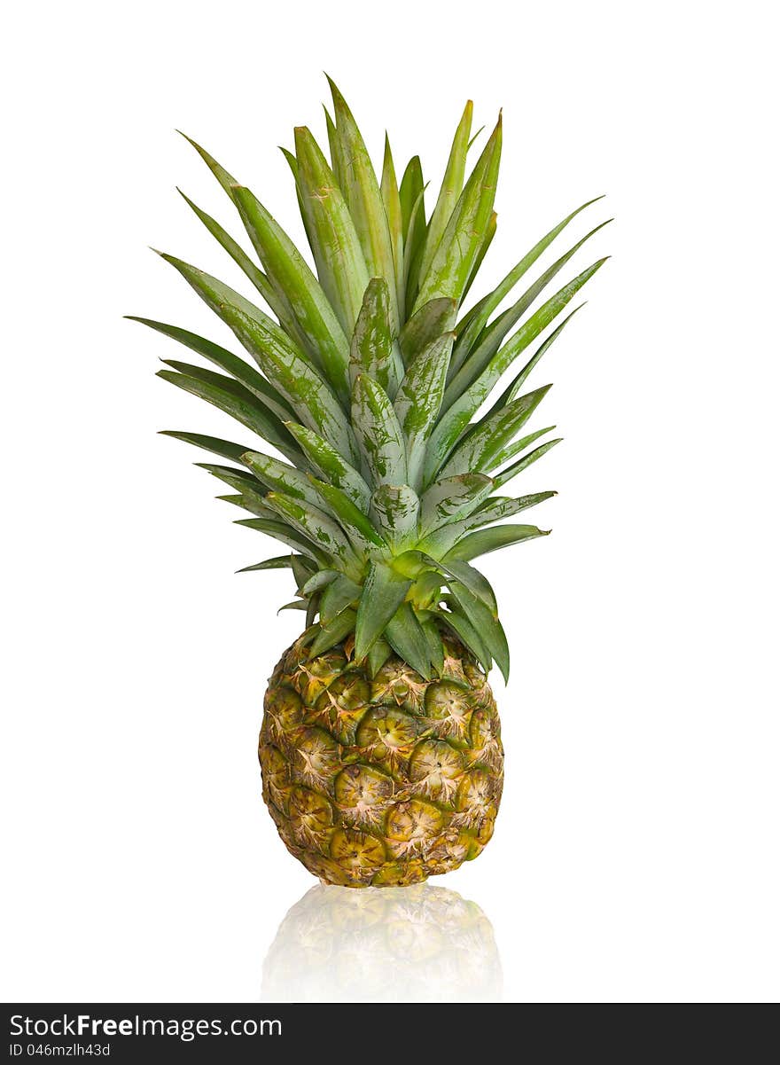 Fresh Pineapple