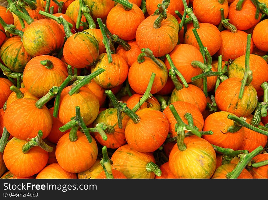 Group of orange pumpkin background