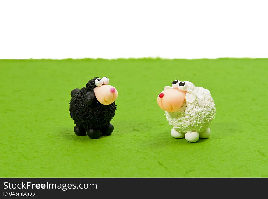 Black and White sheep on green grass