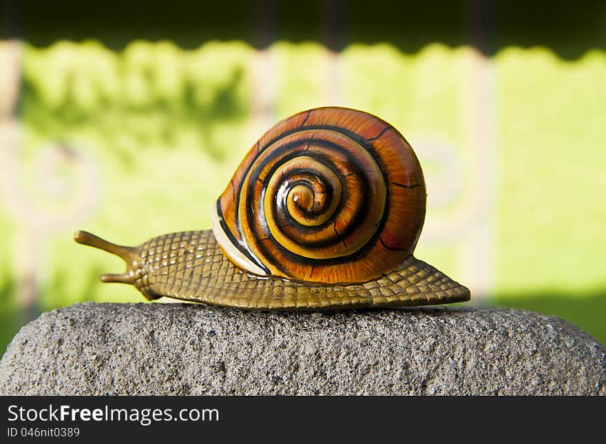 Lonely snail crawls along the cement path on green wall