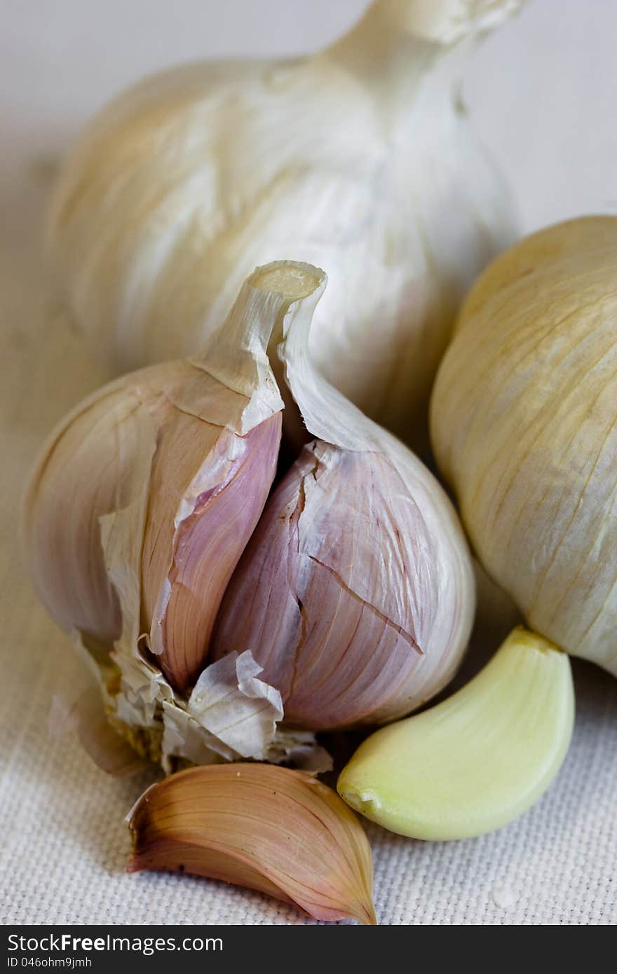 Head of garlic - a natural antibiotic on the tablecloth