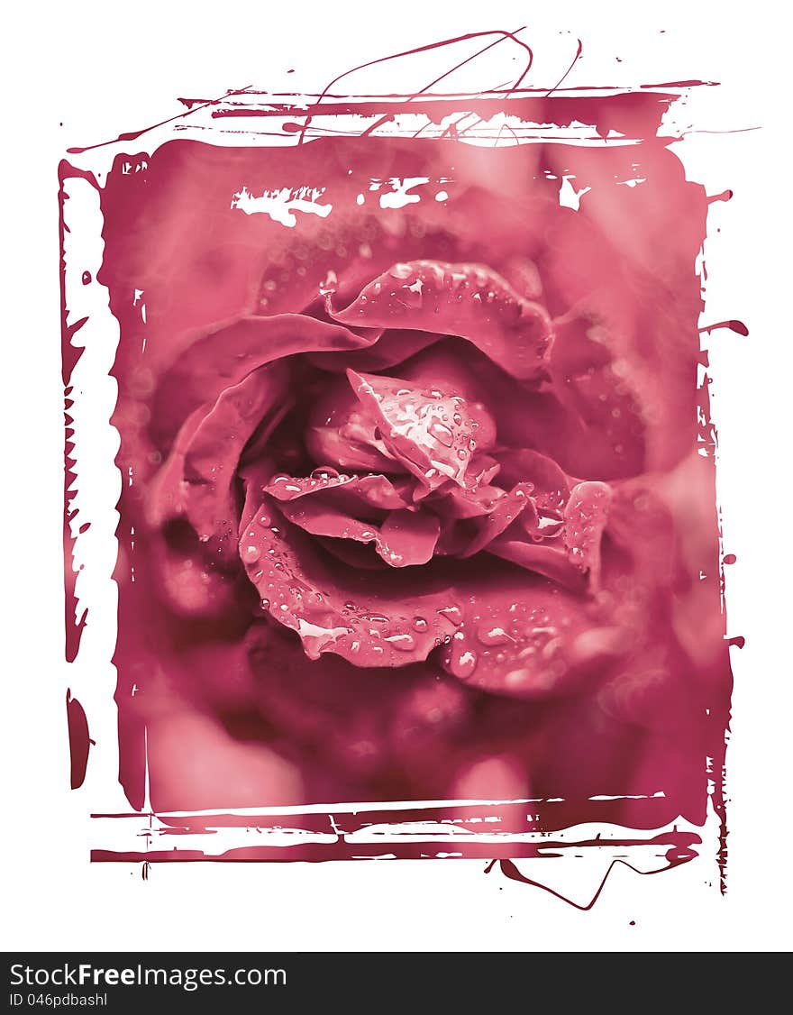 Abstract background with rose