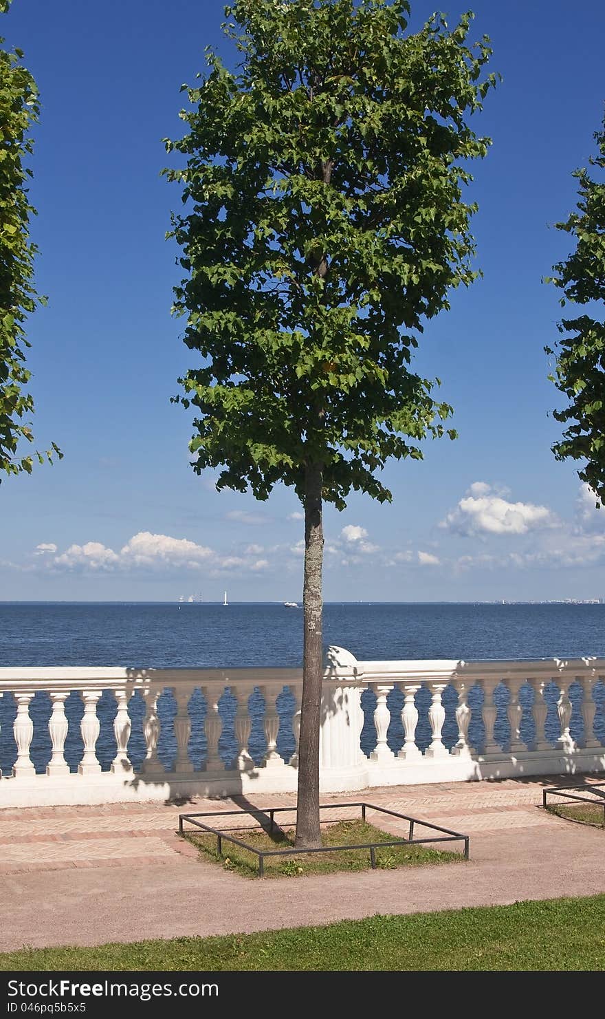 A Fragment Of The Embankment. Peterhof