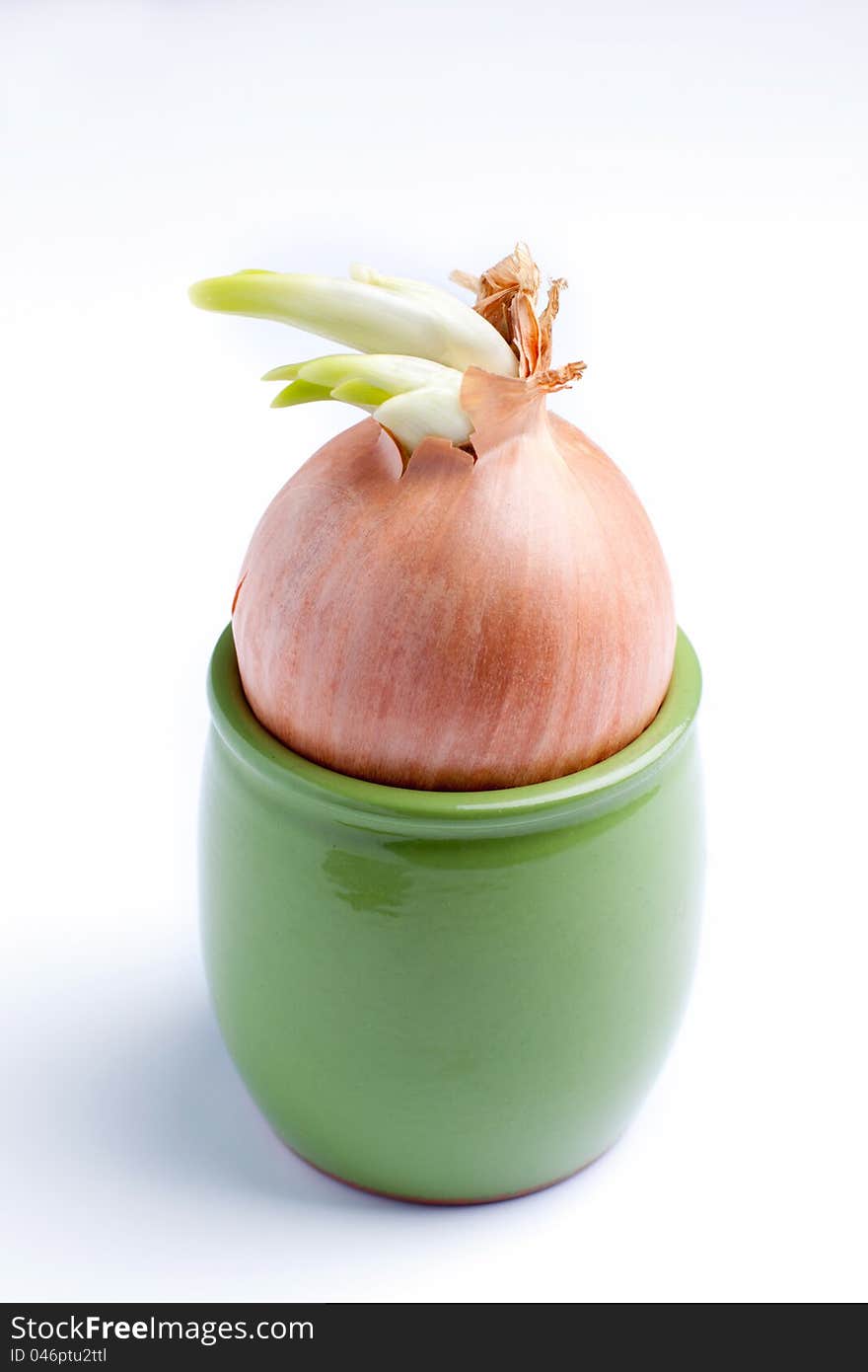 Onions in a pot