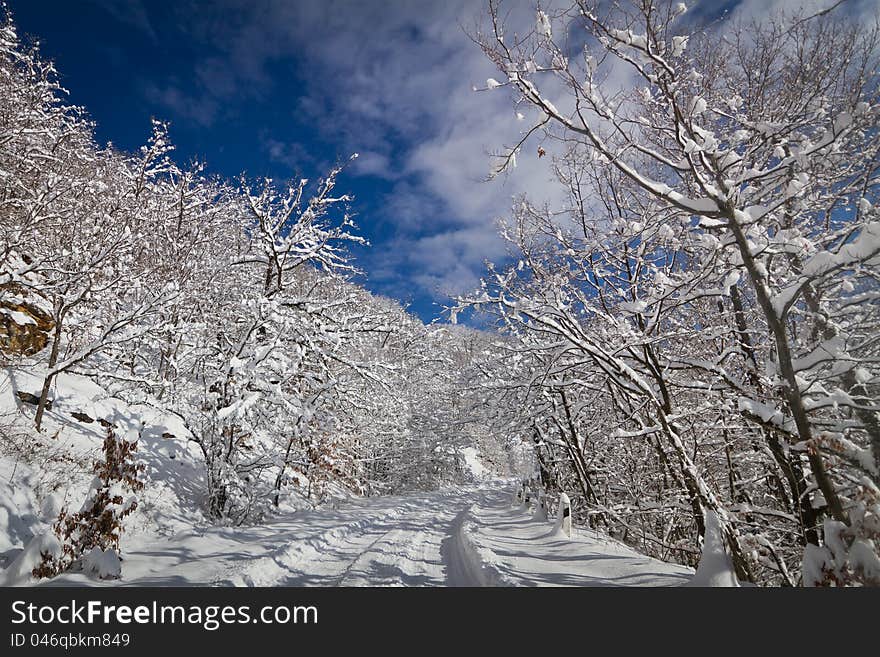 Snowy road