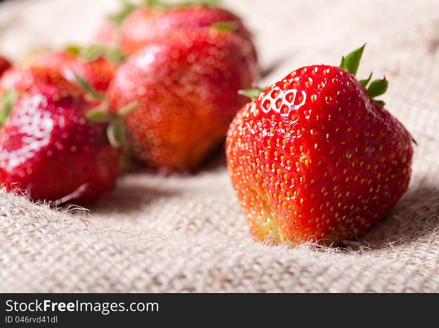 Fresh strawberies on bagging material. Fresh strawberies on bagging material