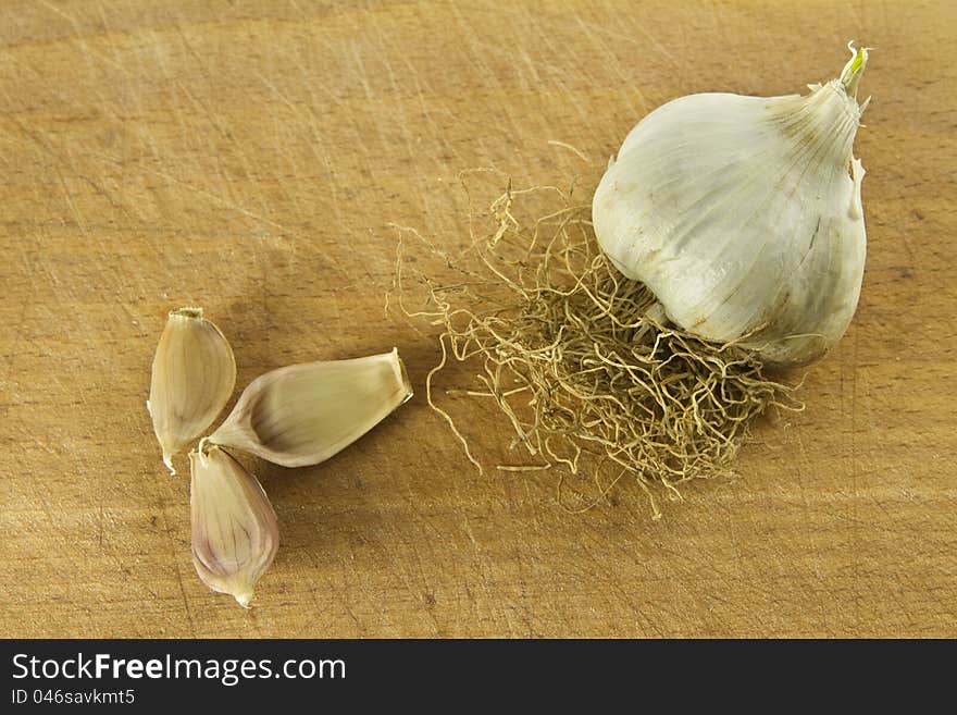 Garlic