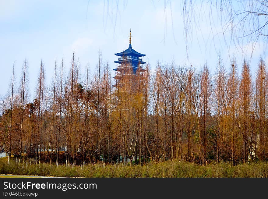 Spruce forest, and pagodas，Taken in China's Jiangsu Province，Longbeishan Park