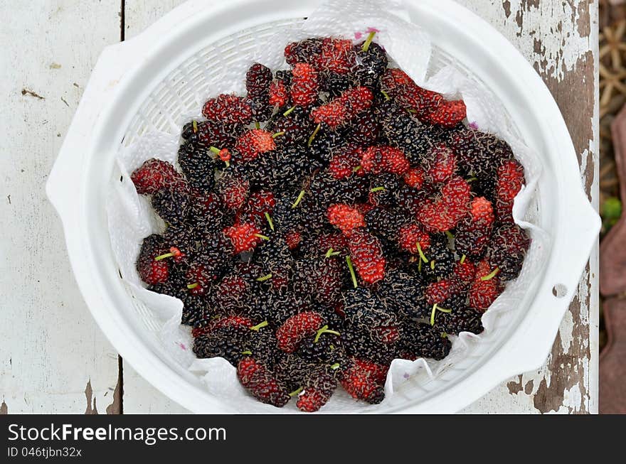 Fresh mulberries in white basket. Fresh mulberries in white basket