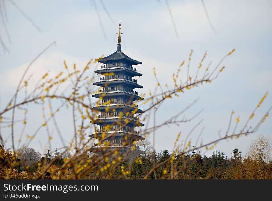 Bloom and pagodas，Taken in Jiangsu, China, a Forest Park，