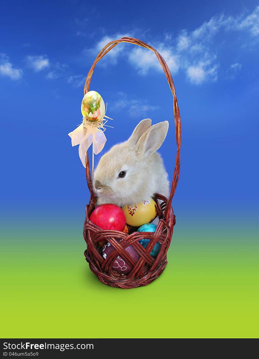 Easter rabbit with eggs basket, over blue - green background. Easter rabbit with eggs basket, over blue - green background