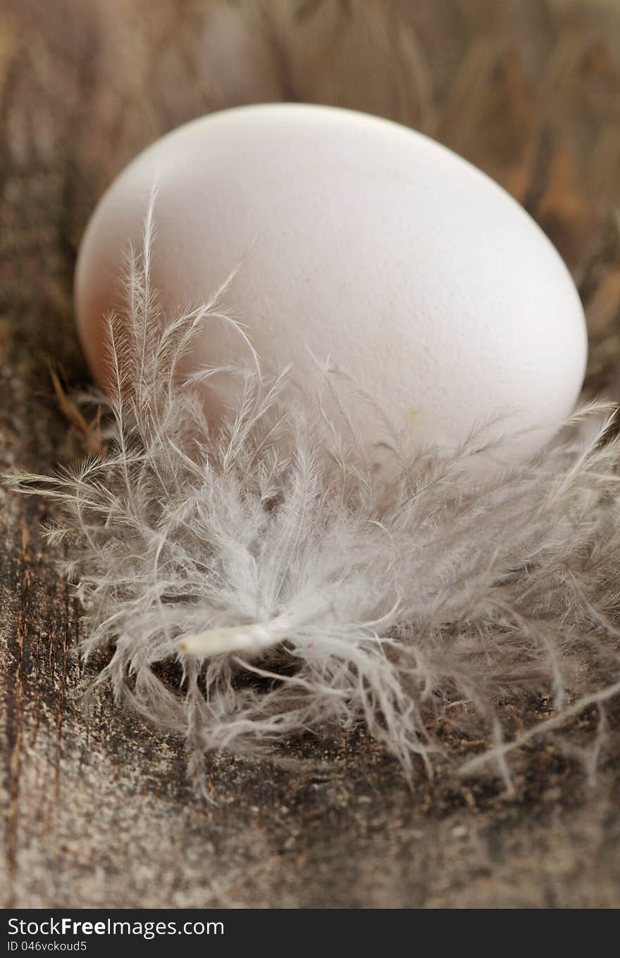 White egg