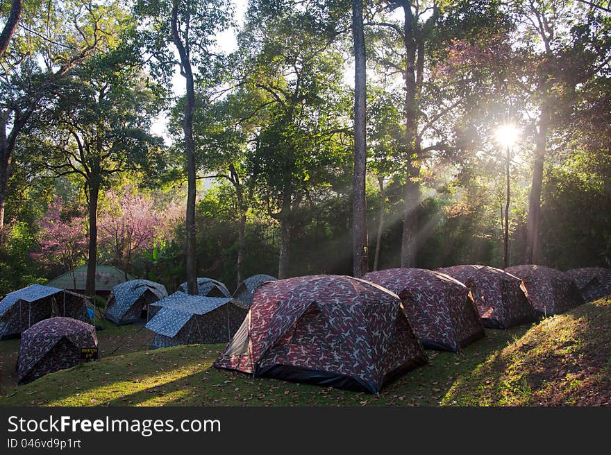 Tents in the national park. Tents in the national park.