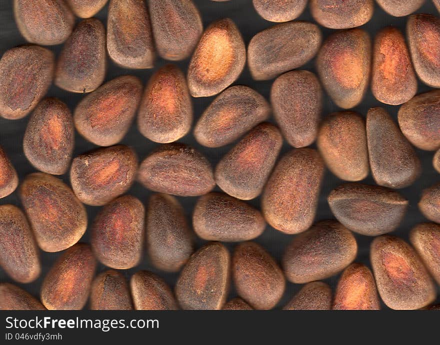 Nuts of Siberian Cedar Pine (Pinus sibirica)