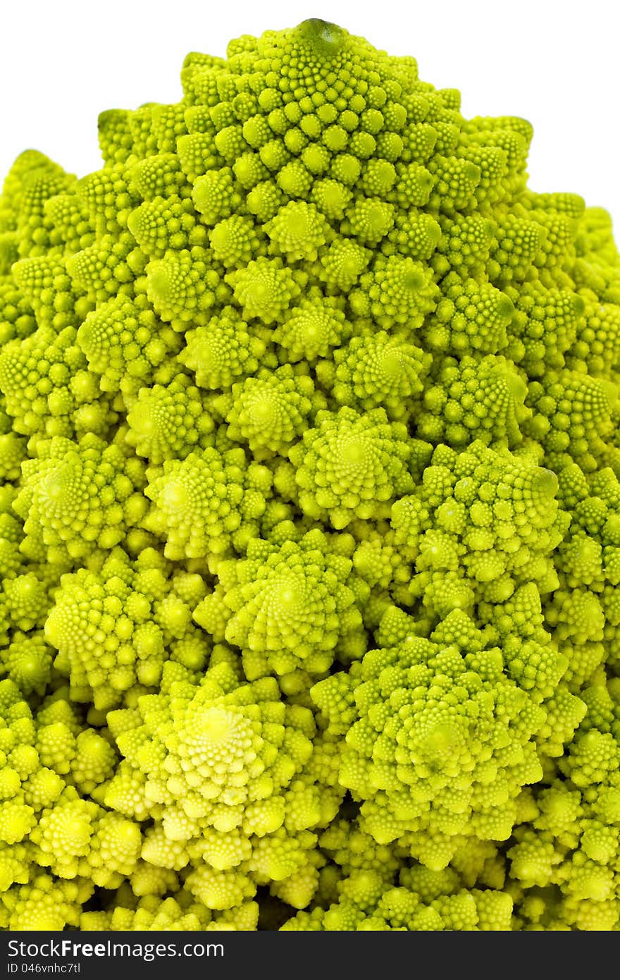 Rare special broccoli (Romanesco broccoli cabbage)