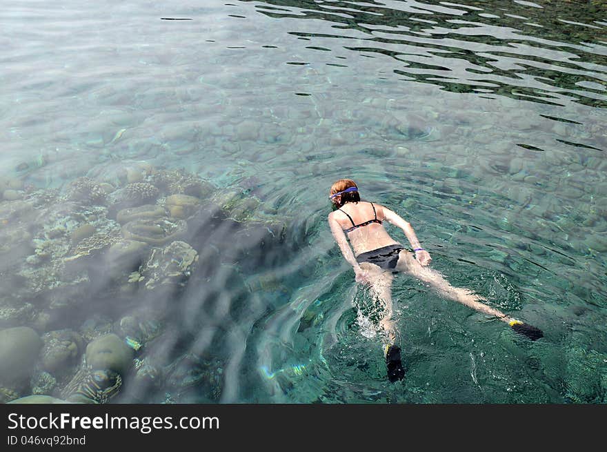 Caucasian woman is snorkeling in the Red Sea