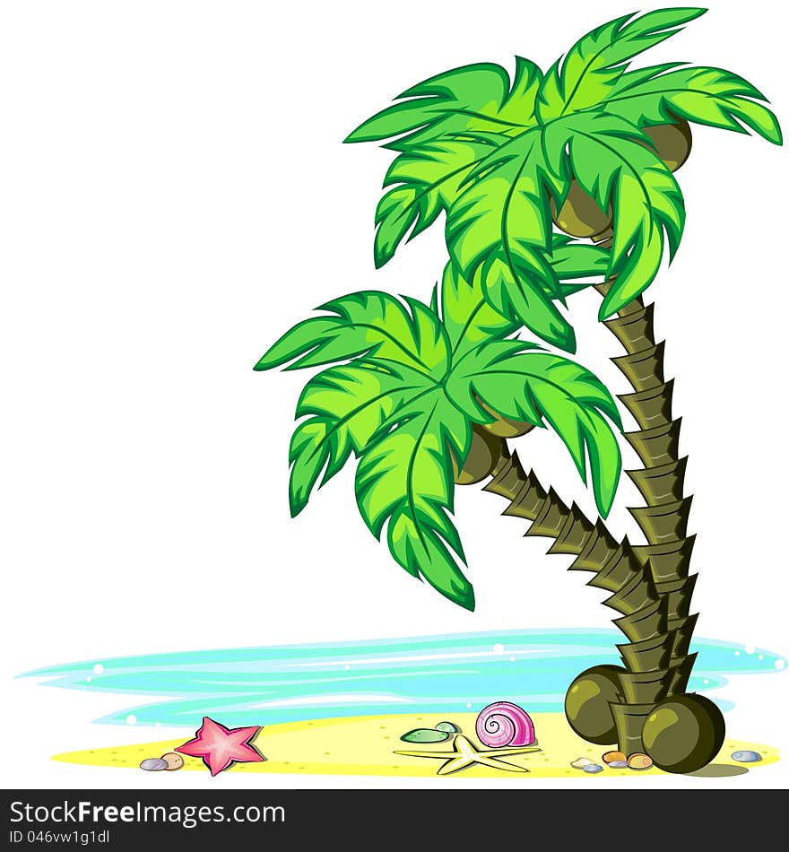 Two palm trees with coconuts on the seashore. Two palm trees with coconuts on the seashore