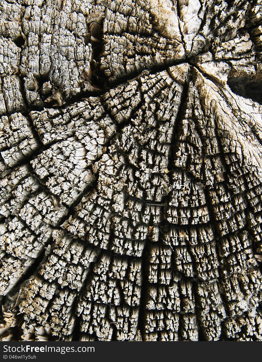 Close up of old cracked wood for background