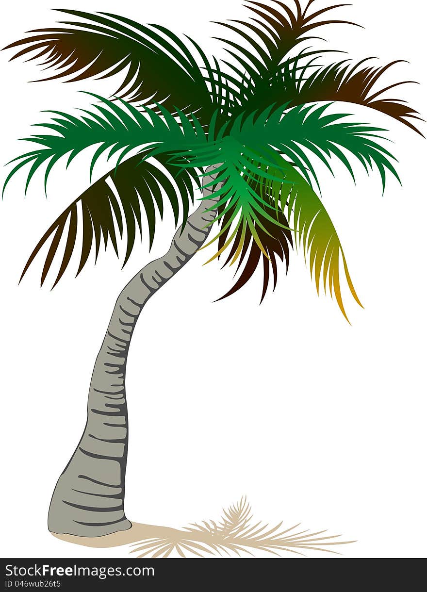 Palm tree clip art images