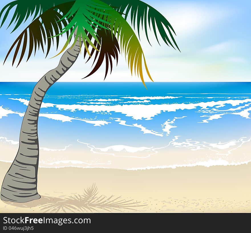 Beautiful beaches and palm trees. Beautiful beaches and palm trees