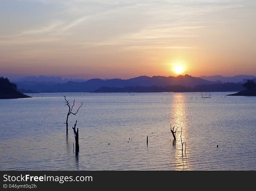 Landscape in deep forest at sunset time