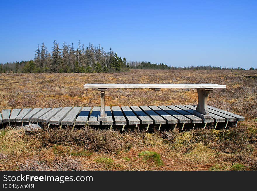 Bench in the park on the bog. Bench in the park on the bog