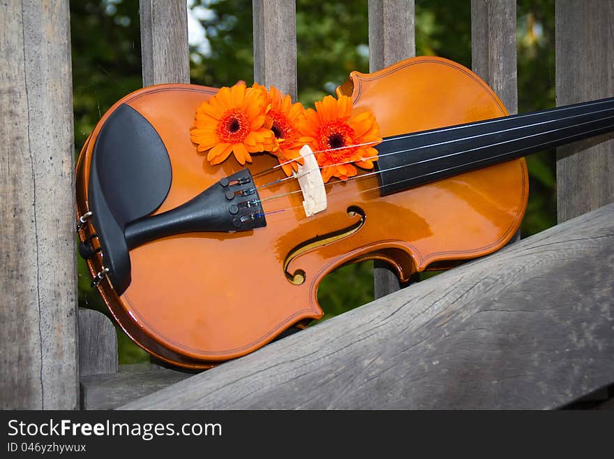 Violin and flowers on the fence