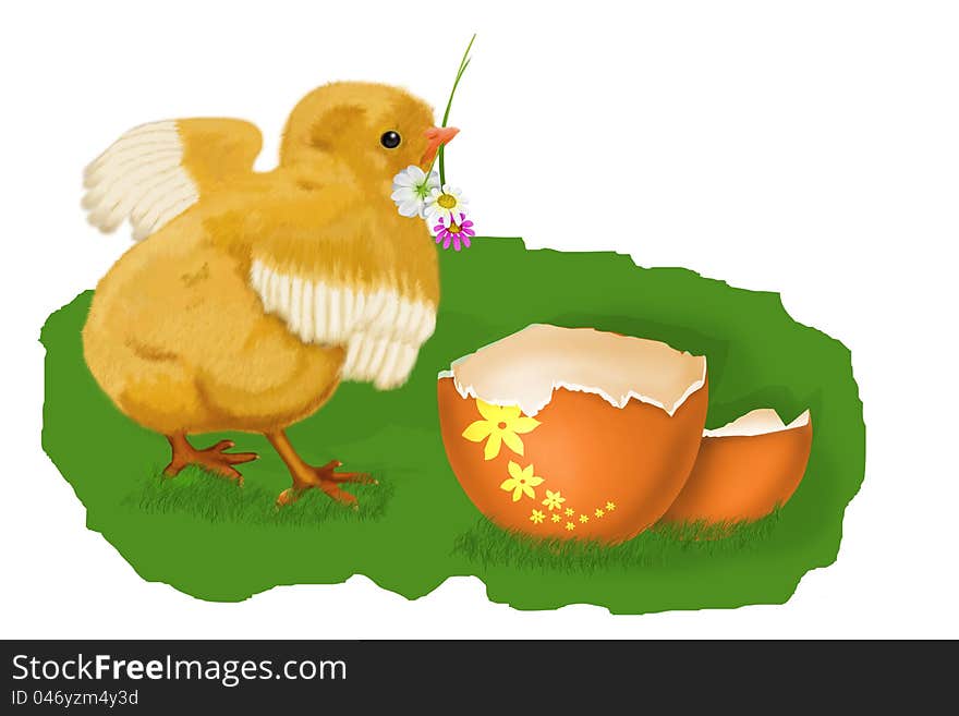 Image of chick-on-white theme of Easter. Image of chick-on-white theme of Easter