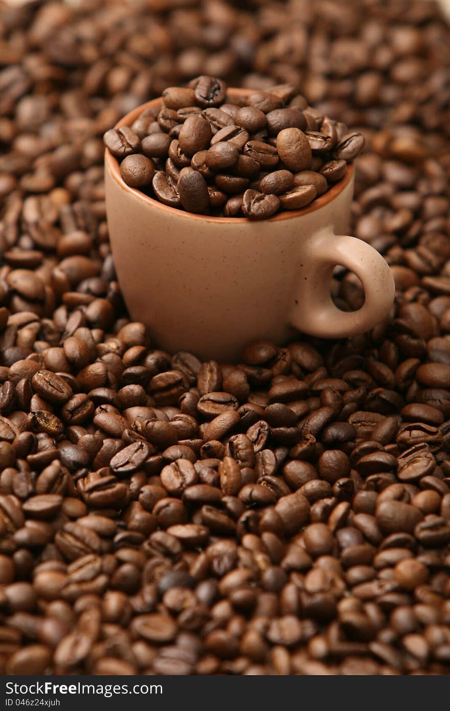 Coffee Beans