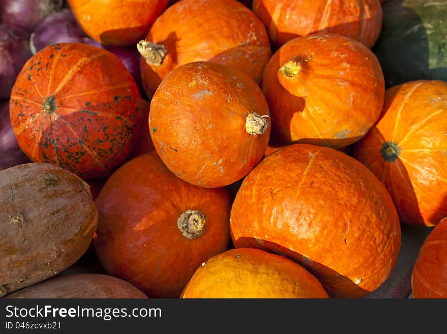 Pumpkins on sale