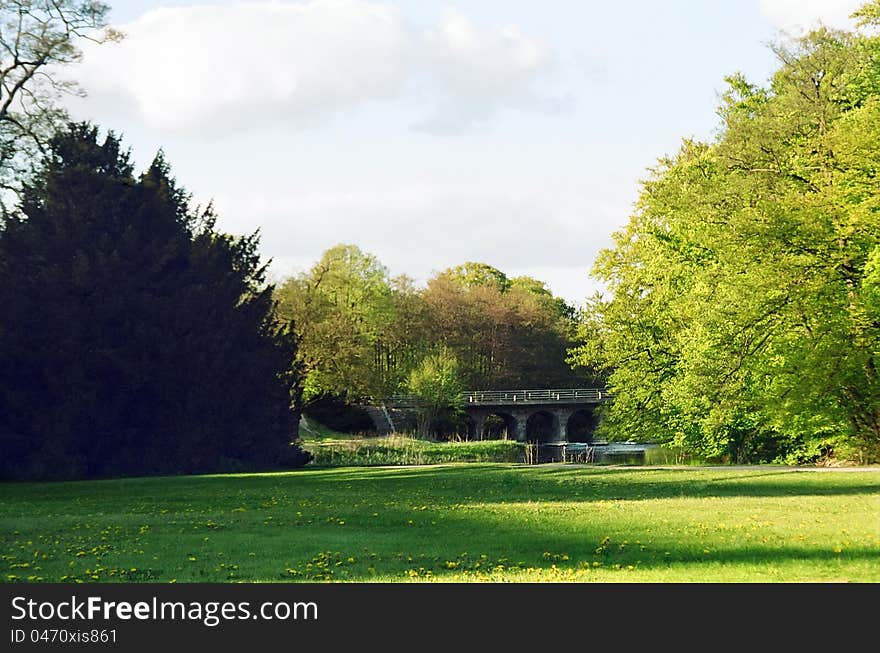 Green tree in Denmark