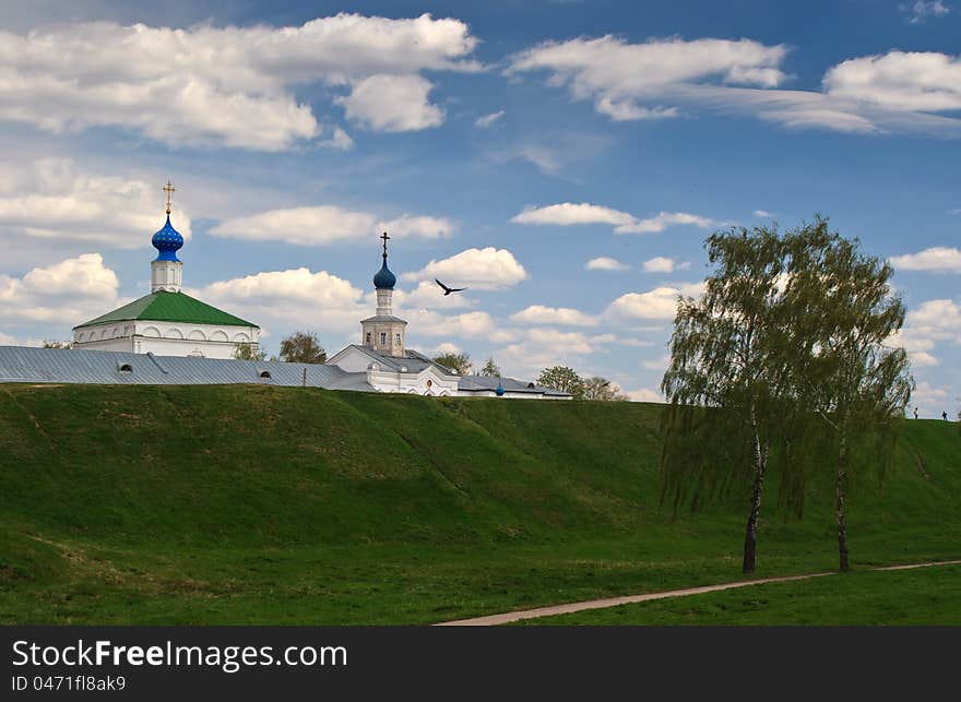 Russia. Ryazan kremlin sky clouds bird