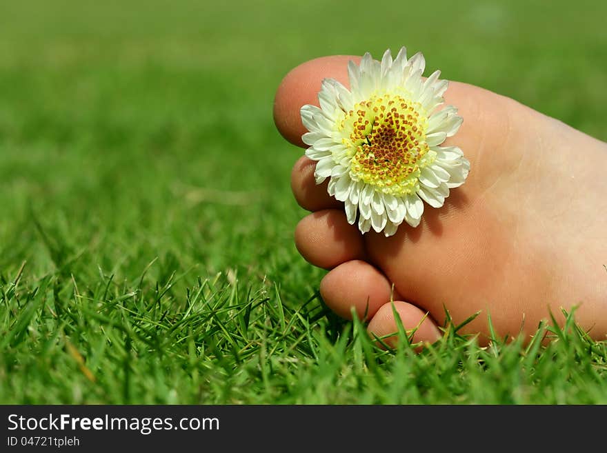 Children's legs lying on the grass, flower decoration. Children's legs lying on the grass, flower decoration