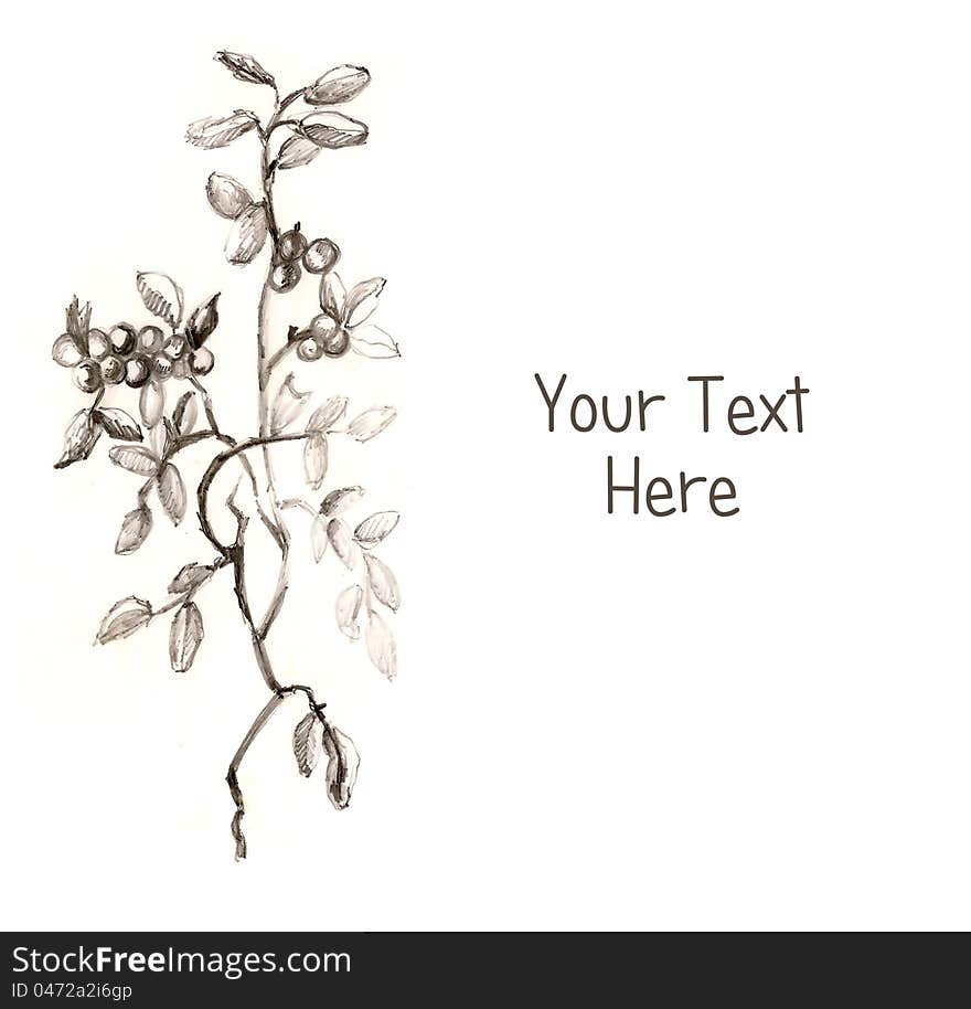 Plant Drawing with space for the text