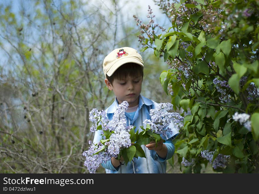 A child picking flowers