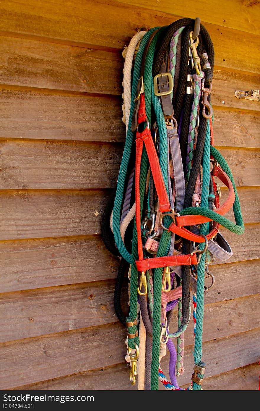 Spring Halters