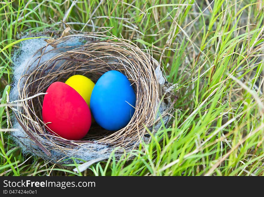 Easter eggs on green grass