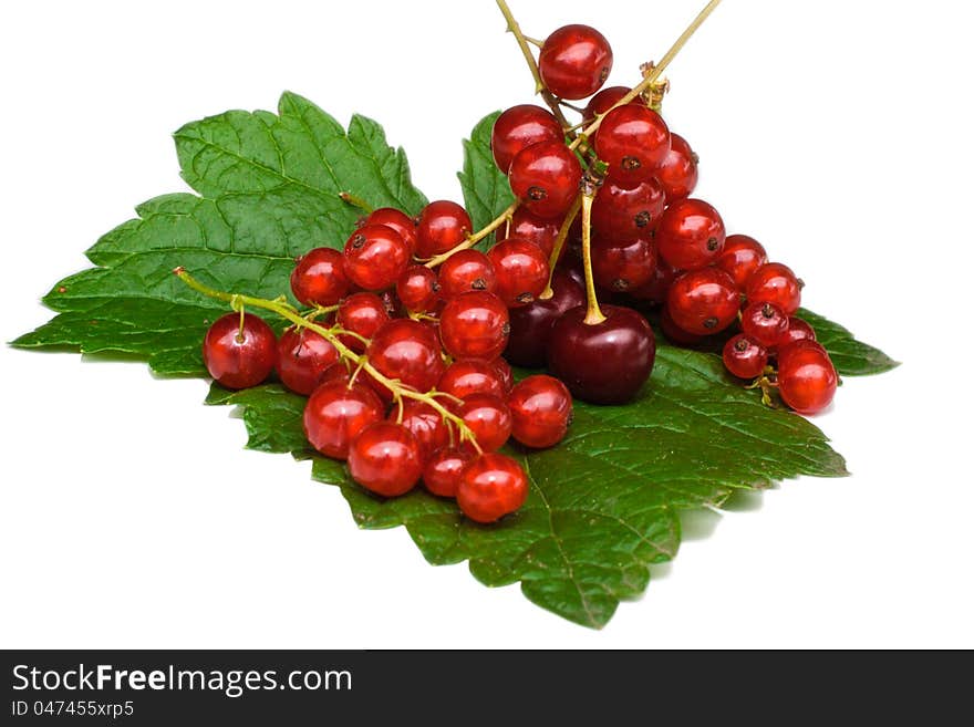 Currant and cherry