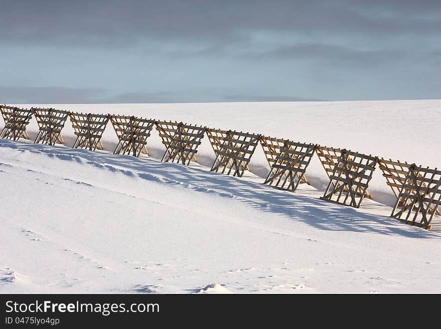 In the field there is a fence for snow detention.Around sparkling snow. In the field there is a fence for snow detention.Around sparkling snow.