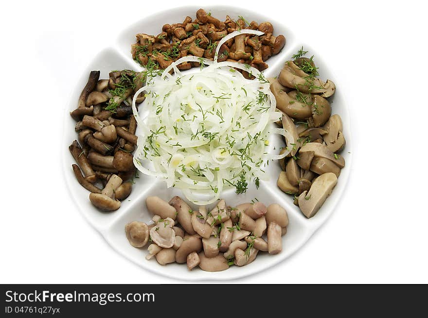 Several species of mushrooms on a white plate