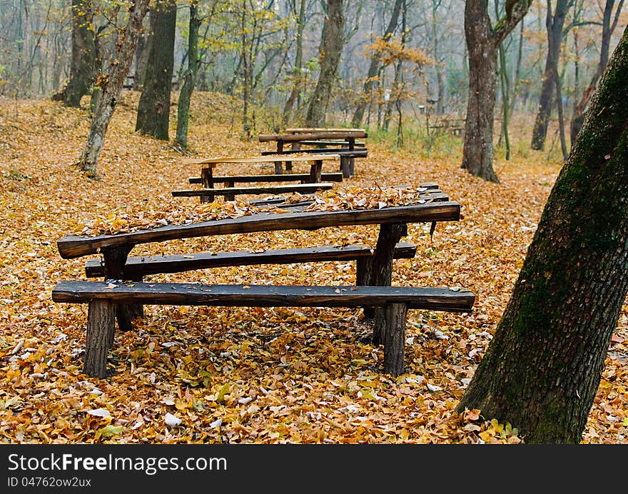 Wooden Tables In The Forest