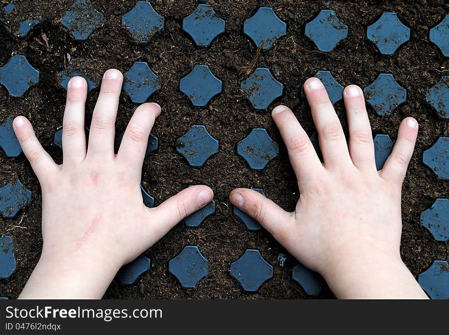 Kid hands over a sown seedbed