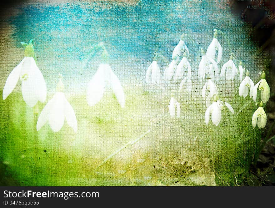 Grunge retro background with snowdrops and copy space