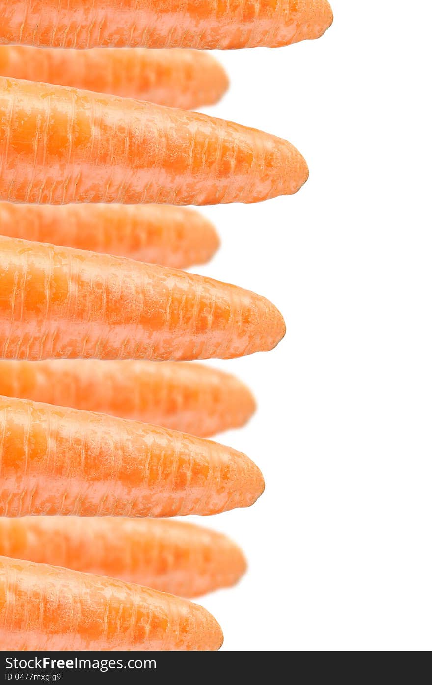 Carrots On White Background