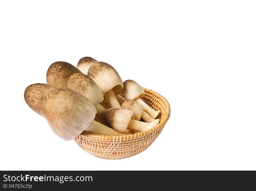 Mushroom in a basket, isolated on white