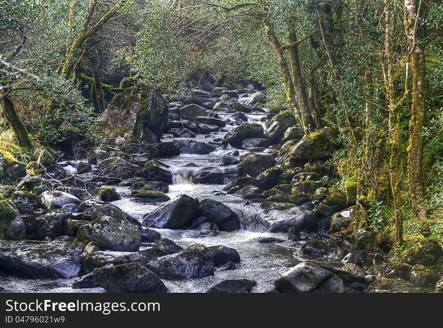 A stream near Torc waterfall,Killarney,county kerry,Ireland. A stream near Torc waterfall,Killarney,county kerry,Ireland